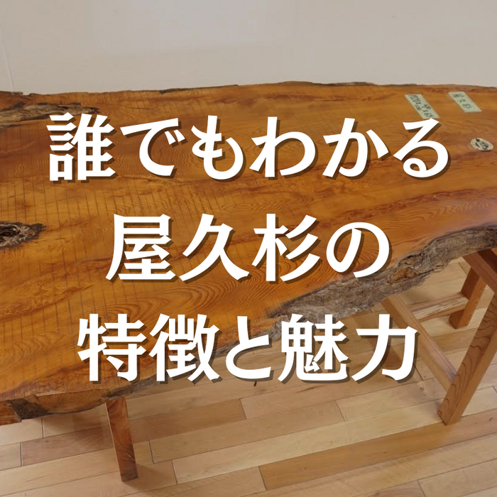 画像1889